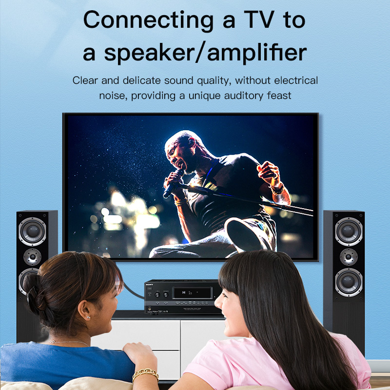Кабель CHOSEAL RCA, цифровой к – обзор и цена Home Cinema Sound System